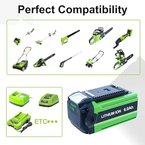 6.0Ah Replacement for Greenworks 40V Battery 29662 29652 29472 29462 etc Compatible with Greenworks 40 Volt Battey Tools with USB Port
